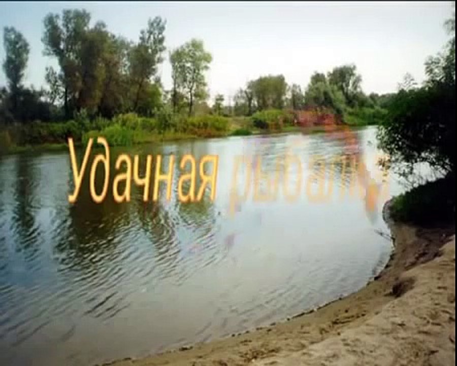 вот так порыбачили!