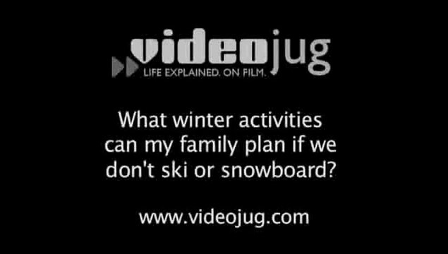 What winter activities can my family plan if we don't ski or snowboard?: Popular Family Vacations