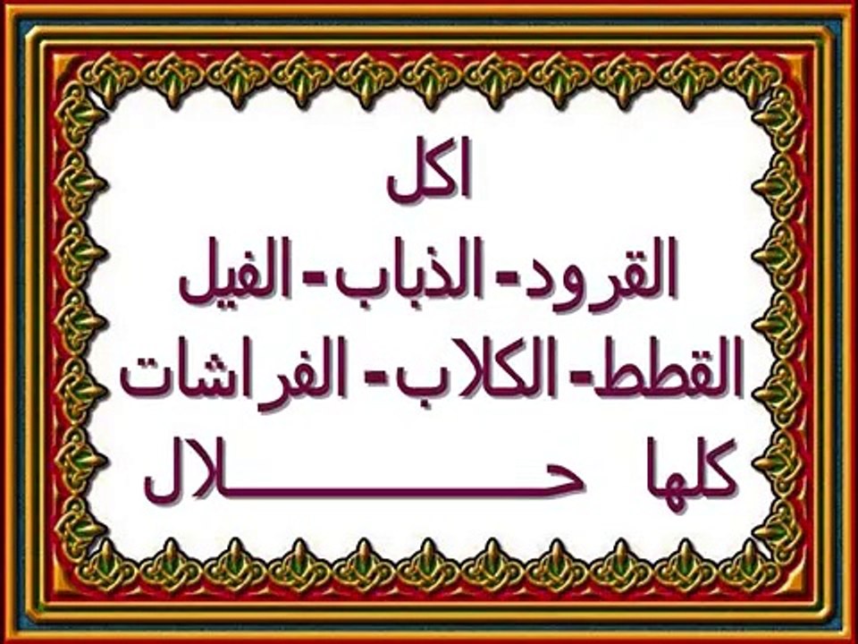 بلاوي الفتاوي-اكل الكلاب والفراشات والقرود