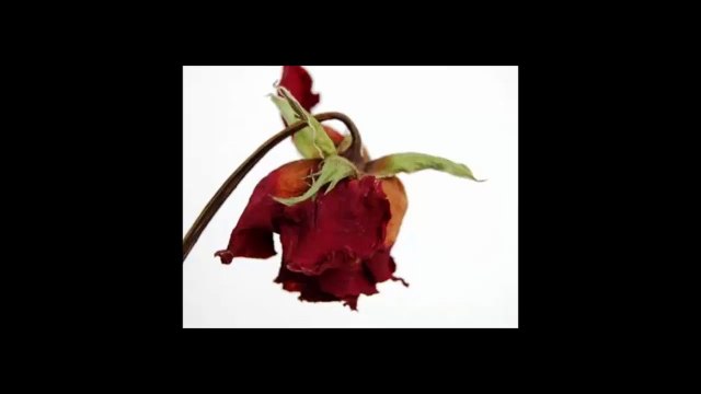 HALİL SEZAİ-SONBAHAR(UĞUR ALTINTAŞ)