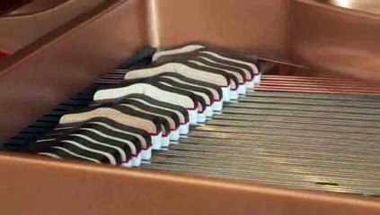 What does the 'pedal mechanism' do on a piano?: Piano Parts