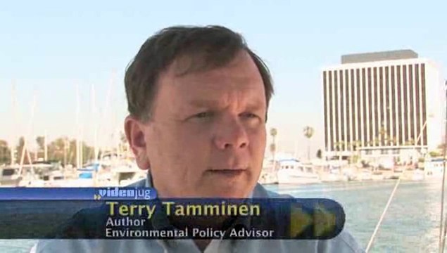 What are petroleum volatile organic compounds (VOCs)?: Petroleum Pollution