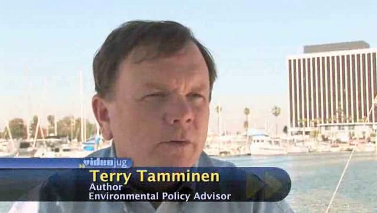 What is "smog" and how does it affect air quality?: Petroleum Pollution
