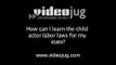 How can I learn the child actor labor laws for my state?: How To Learn About The Child Actor Labour Laws For Your State
