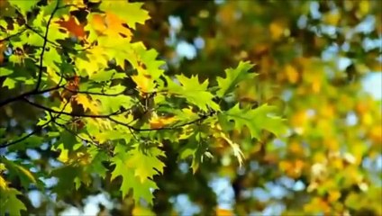 حقائق علمية غريبة من الحياة اليومية لم تكن لتخطر لك