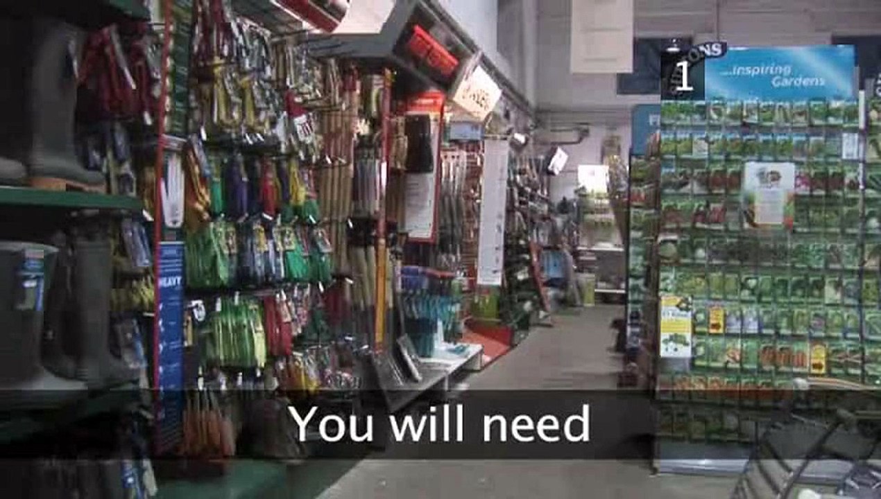 How To Select The Right Christmas Tree