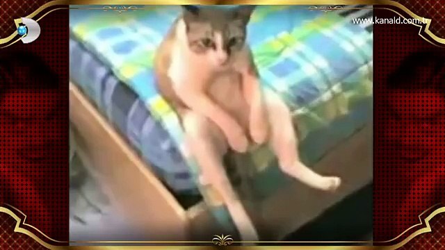 Hakan Altun şarkıları hayvanlara dinletilirse