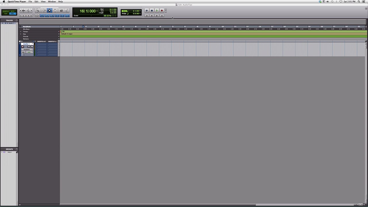 18. How To QuickPunch Record