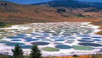 Spotted Lake -  British Columbia, Canada,