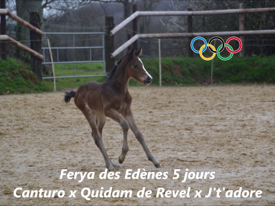 Ferya des Edènes 6 jours