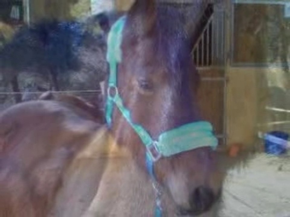 Love of ma life