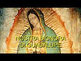 La Madonna degli indios (Maya) La Vergine di Guadalupe 01/02
