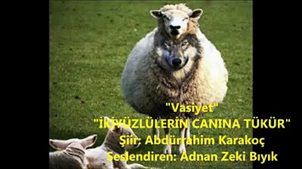 MÜNAFIKLARIN CANINA TÜKÜR-ADNAN ZEKİ BIYIK SESLENDİRDİ