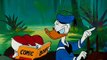 Donald Duck Episodes Dons Fountain of Youth - Disney Classic Cartoons for Kids