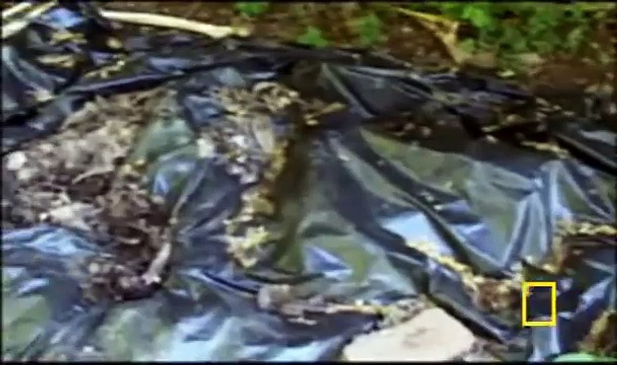 The Body Farm - Study of Human Decomposition