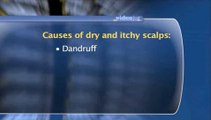 What can be the causes of dry and itchy scalps?: Itchy Scalp