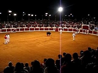 French Cow Jumping