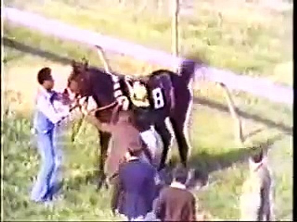 Seattle Slew