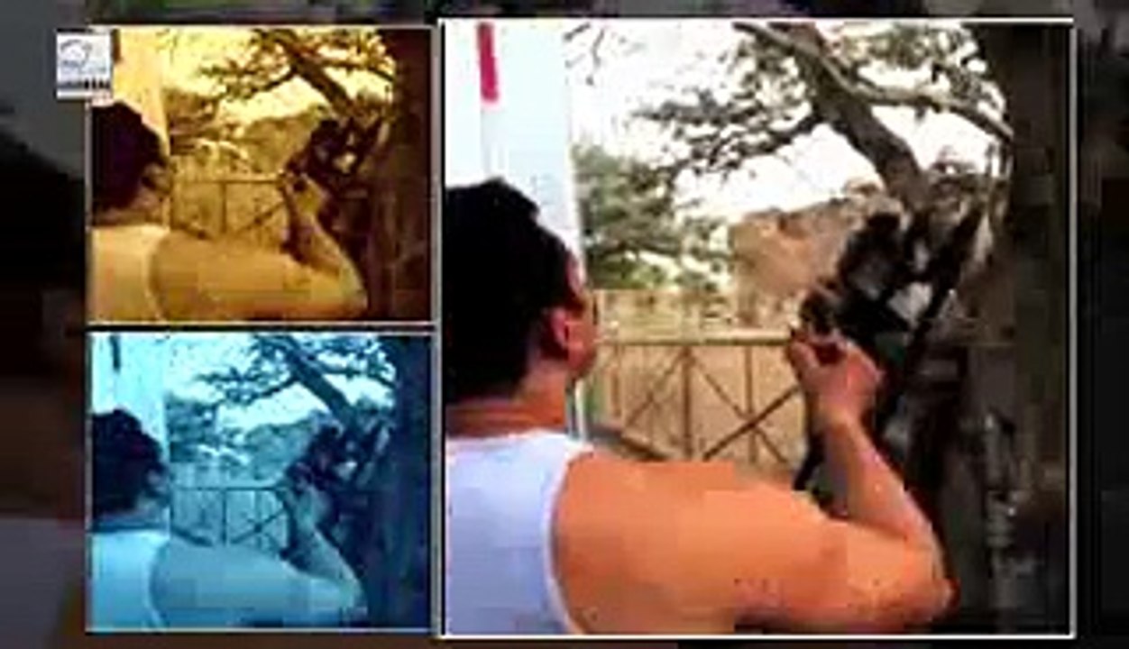 Aww! Salman Khan Feeds Monkeys   LehrenTV.3gp