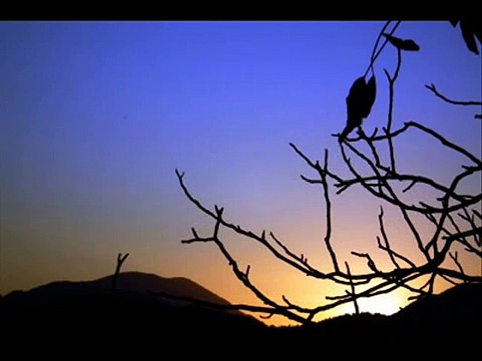 Abraham Hicks ~ Things you must do everyday