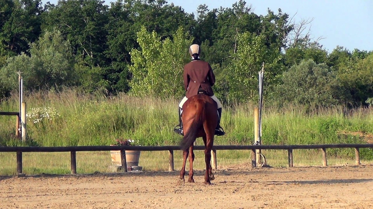 championnat d'aquitaine de dressage 2013