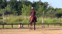 championnat d'aquitaine de dressage 2013