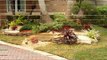 Diseño de jardines en miami