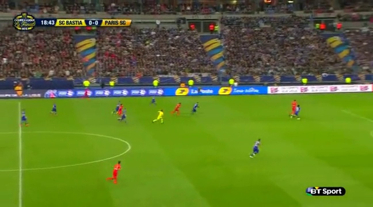 Bastia 0 vs 4 PSG ~ [Coupe de Ligue - Final] - 11.04.2015 - Buts & Highlights