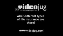 What different types of life insurance are there?: Types Of Cover