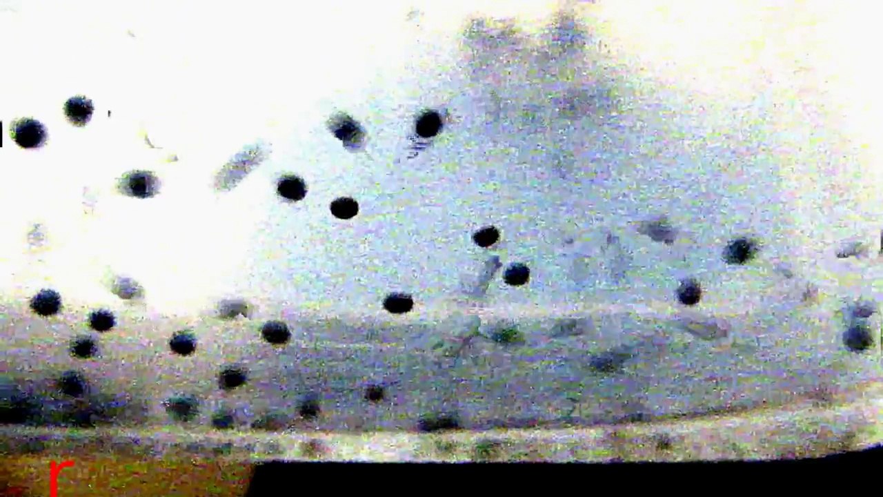 Ghostly Zombie Particles