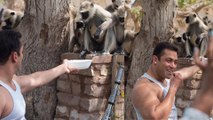 Aww! Salman Khan feeds Monkeys | On the sets of Prem Ratan Dhan Payo