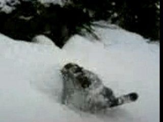 Saut rocher en Snowboard