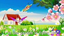Muffin Songs - Fly Fly the Butterfly | nursery rhymes & children songs with lyrics