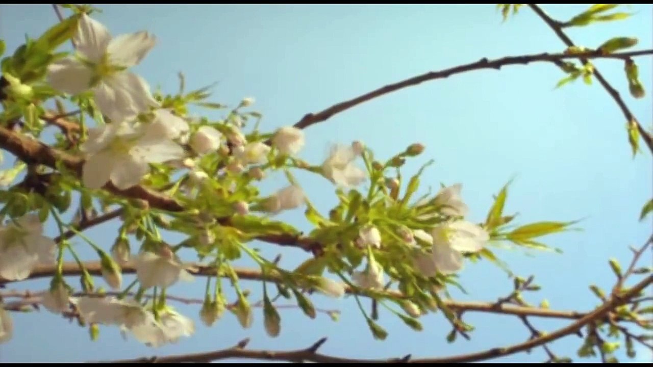 A Perfect Day - Miriam Stockley [HD]