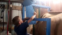Milking a family cow at Trinity Oaks Farm pt. 2