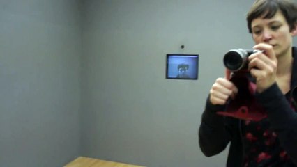 Dan Graham's Present Continuous Past 1974