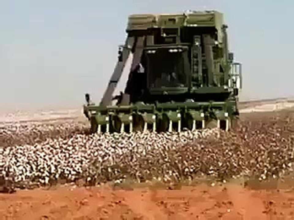 Mera Pakistan