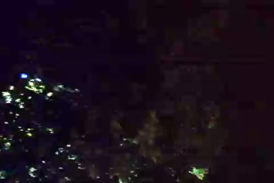 Montauk Monster Caught Alive with a video Camera Breaking Big Branches in a tree ?