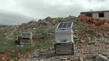 Arılar Soğuktan Ölünce Güneş Enerjili Kovan Geliştirdi