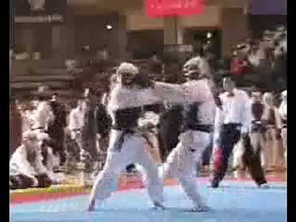Nippon Kempo