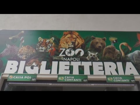 Napoli - Lo Zoo riparte con un progetto di ampliamento -2- (07.04.15)
