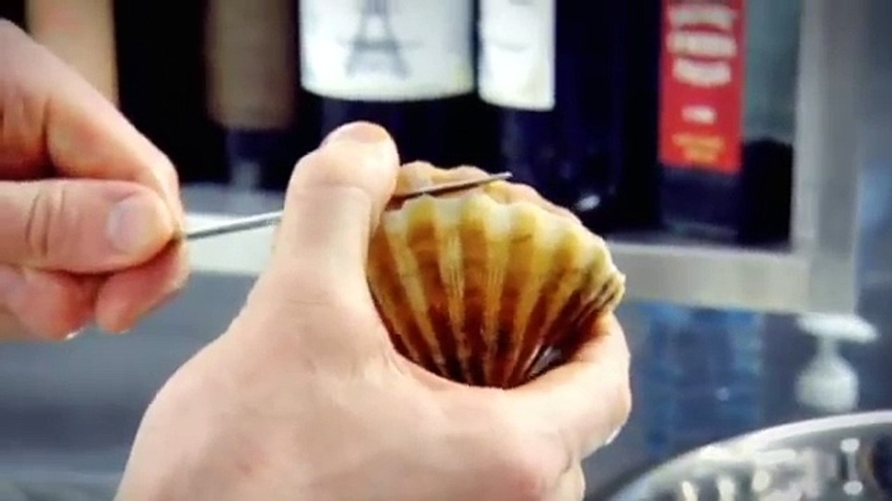 Perfect Scallops with Cauliflower Puree Gordon Ramsay video Dailymotion