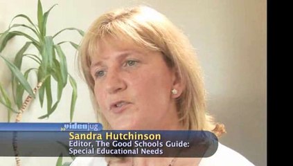 What alternatives are available to wholesale special or mainstream schooling?: Schooling Options