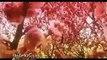 Onimusha : Dawn Of Dreams Trailer