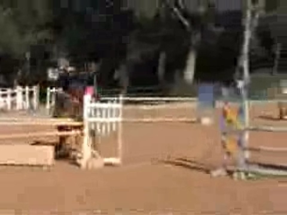 Tango qui saute le chandelier