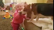 Oyuncaklarını paylaşmak istemeyen bebek ve köpek