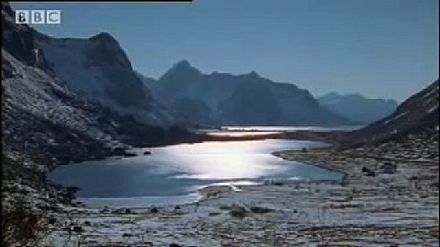 Norwegian Fjords - Wild Europe - BBC natural history