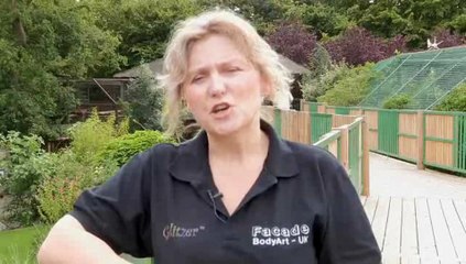 How To Do Butterfly Face Paint