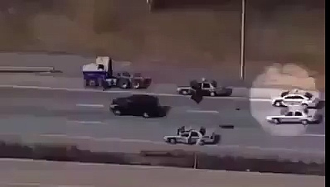 My name is Forest, Forrest gump