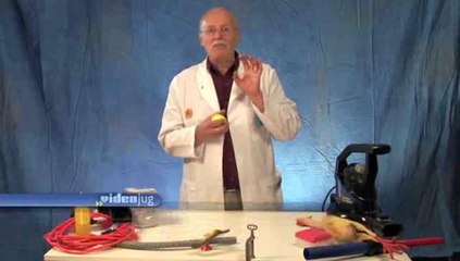 How do I my eyes see color?: Fun Science: The Human Body